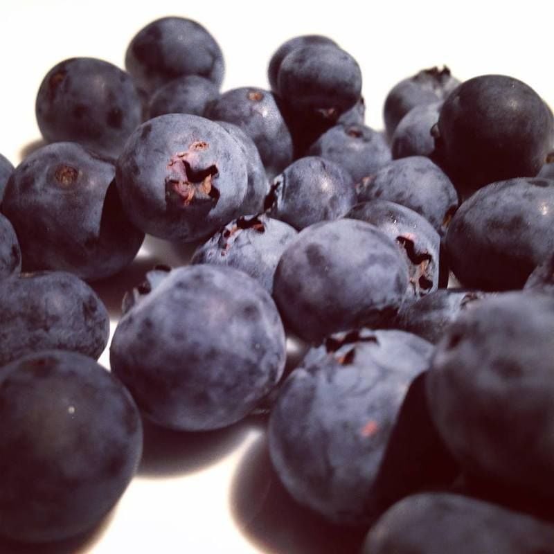 Your Little Antioxidant Pill Your Little Antioxidant Pill